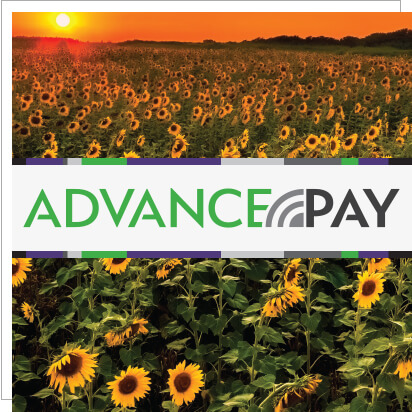 advance pay